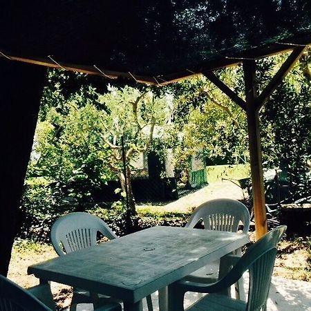 Agriturismo La Mora อัสซิซี ภายนอก รูปภาพ