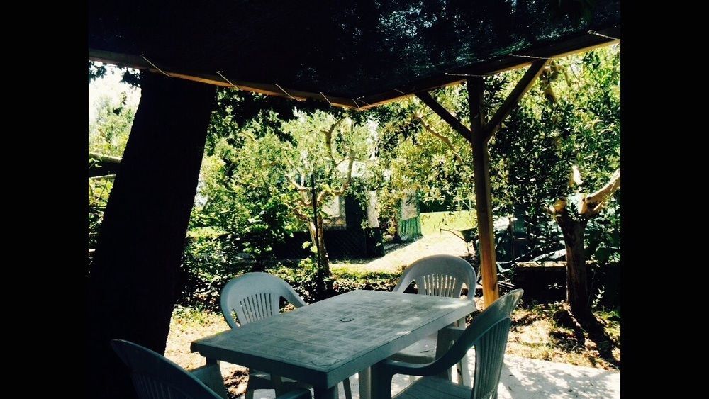 Agriturismo La Mora อัสซิซี ภายนอก รูปภาพ